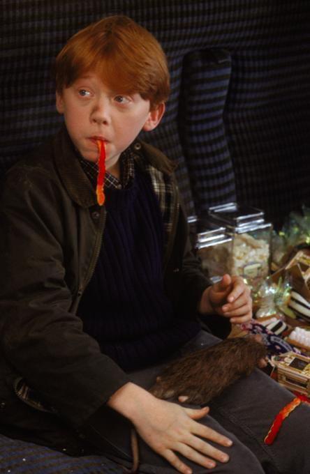 德拉科演员,魅力与邪恶的完美交织