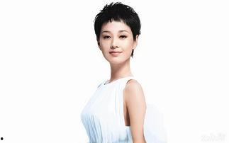 内地最有背景的演员,揭秘内地最有背景演员的辉煌人生